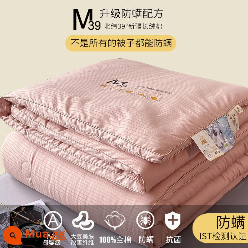 Mumi chống ve loại A cotton sợi đậu nành chăn mùa đông chăn mùa xuân và mùa thu lõi chăn đơn mùa đông chăn dày để giữ ấm - Chăn đậu nành chống ve màu hồng nâng cấp + kháng khuẩn [bông loại A dành cho bà mẹ và trẻ sơ sinh]