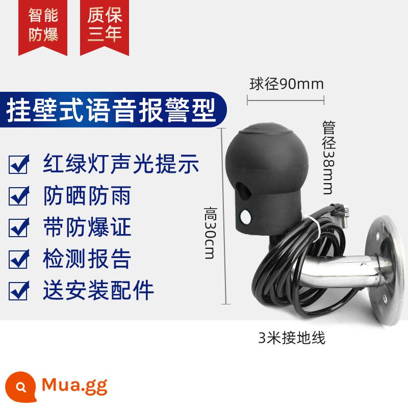 Thiết bị cảnh báo bằng giọng nói và âm thanh cột bóng công nghiệp chống cháy nổ cơ thể con người thiết bị phóng tĩnh điện loại cảm ứng - Loại báo động treo tường (giọng nói)