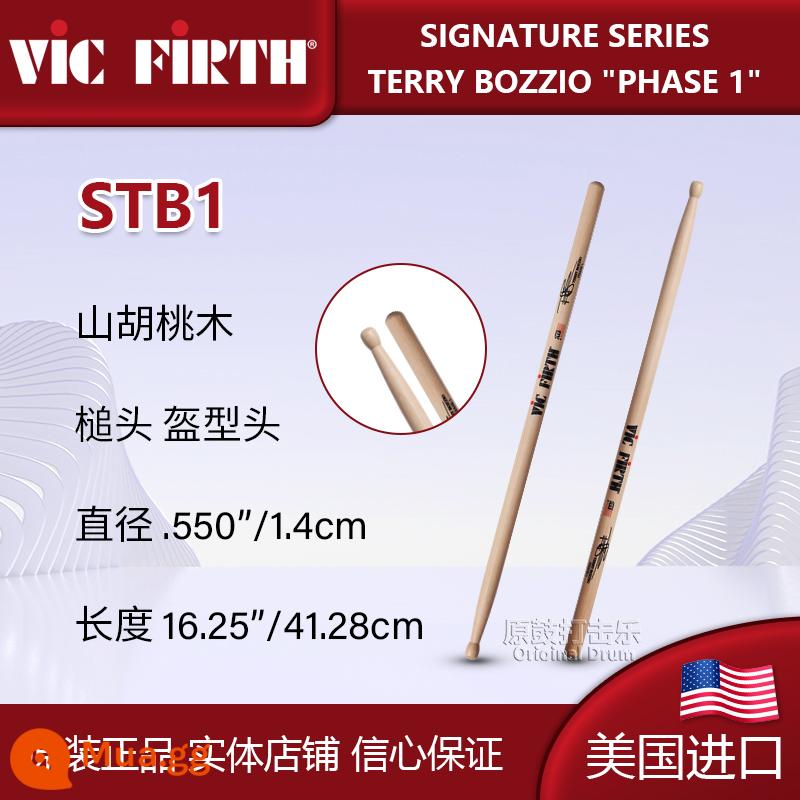 Gậy trống VF trống Vic Firth nhập khẩu Mỹ chuyên nghiệp phổ biến trống jazz trống luyện chữ ký trống búa - Đầu thùng gỗ đặc trưng STB1