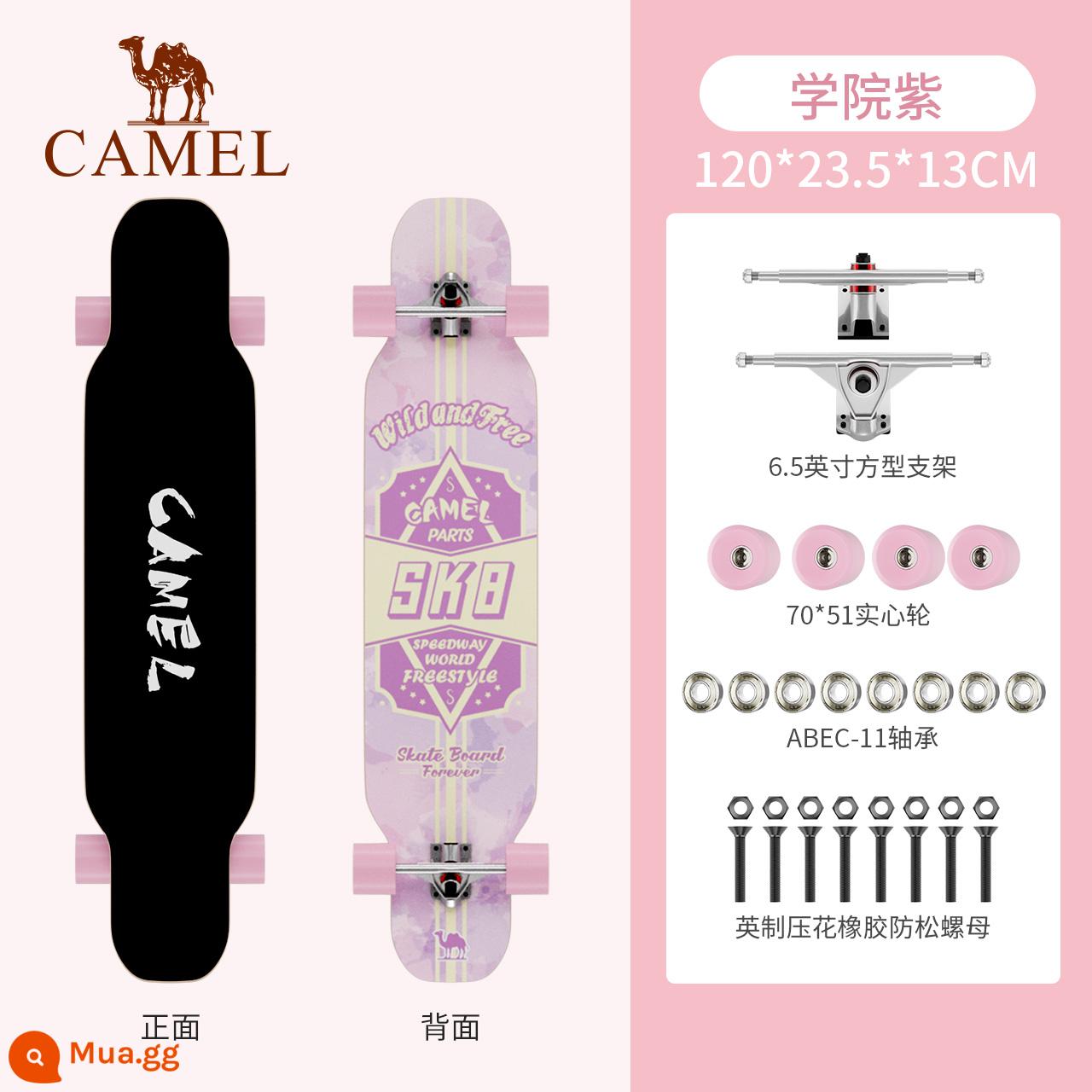 Lạc Đà Longboard Ván Trượt Người Mới Bắt Đầu Ban Nhảy Cô Gái Bàn Chải Đường Chuyên Nghiệp Ban Nam Trưởng Thành Đường Thanh Niên Xe Tay Ga - Cao đẳng Tím-Y33BE06054