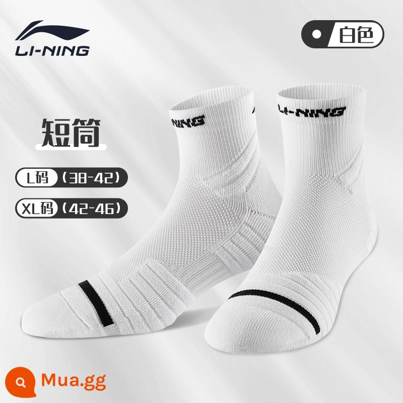 Vợt bóng rổ chuyên nghiệp Li Ning vớ khăn dưới giữa ống thể thao chạy bộ cầu lông ưu tú nam Mỹ chống trượt mùa hè - [Một đôi] Tất trắng tiêu chuẩn