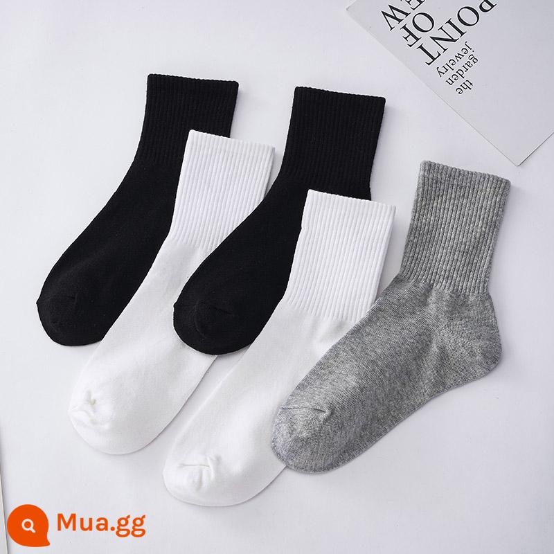 Vớ trắng nữ mùa hè mỏng phần vớ cotton ống giữa giày lười không xương ống dài vớ đen thể thao xuân thu vớ nam - 5 đôi - đen 2+trắng 2+xám 1