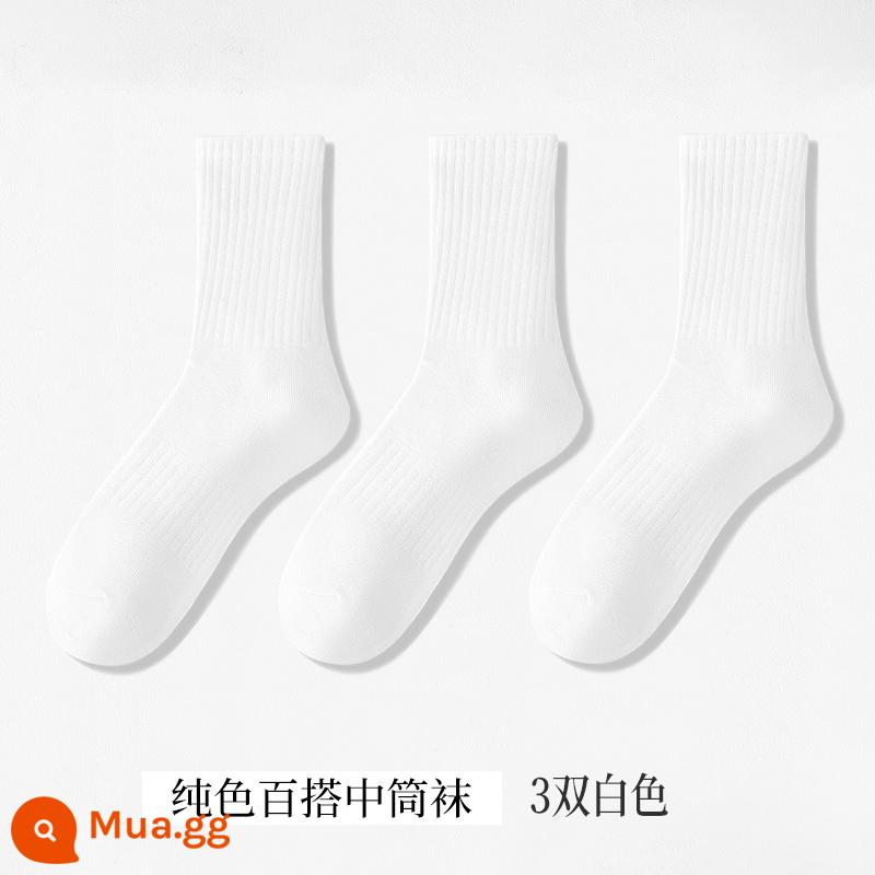 Tất Nam Xuân Thu Cotton Giữa Bắp Chân Thấm Hút Mồ Hôi Và Thoáng Khí Mùa Đông Dày Dài Trắng Đen Đôi Tất Thể Thao - 3 đôi - trắng