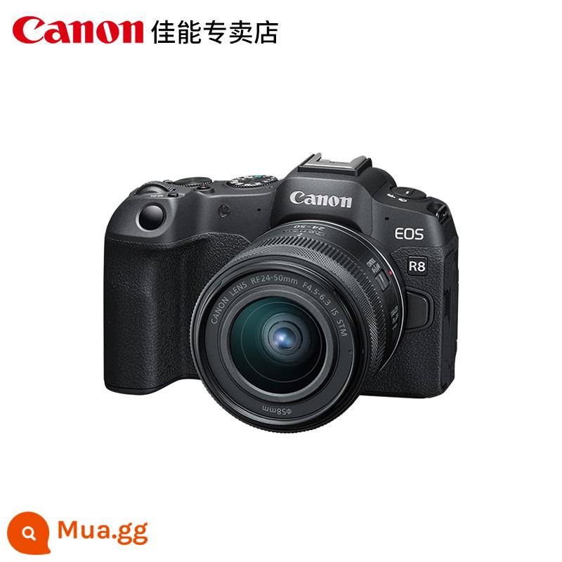 Máy ảnh micro đơn full-frame Canon R8 r8 chụp ảnh kỹ thuật số du lịch độ nét cao Máy ảnh đơn micro cấp độ đầu vào - Hàng chính hãng màu đen có giấy phép (có hóa đơn)