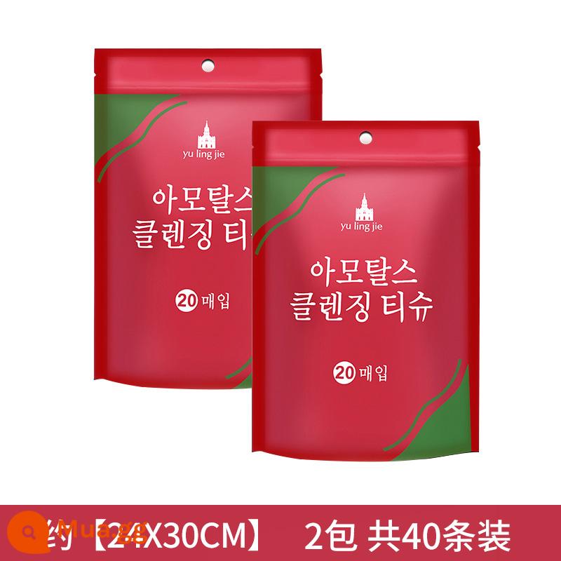 Khăn nén, khăn mặt dày dùng một lần, đồ tạo tác du lịch, khách sạn ngoài trời, gói kẹo hạt lớn di động - 2 túi/40 miếng [lớn hơn và dày hơn] 24*30 cm