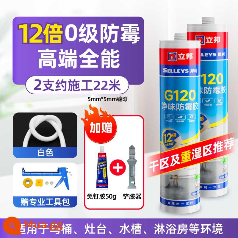 Keo dán kính Libang nhà bếp và phòng tắm cửa ra vào và cửa sổ nhà bếp không thấm nước và chống nấm mốc keo làm đẹp trung tính trong suốt mạnh mẽ keo kết cấu keo dán - [⭐Đa năng cao cấp 12 lần 0 cấp chống nấm mốc + cạo keo + làm móng không dính nước] Dụng cụ chống nấm mốc không mùi 300ml*2 màu trắng