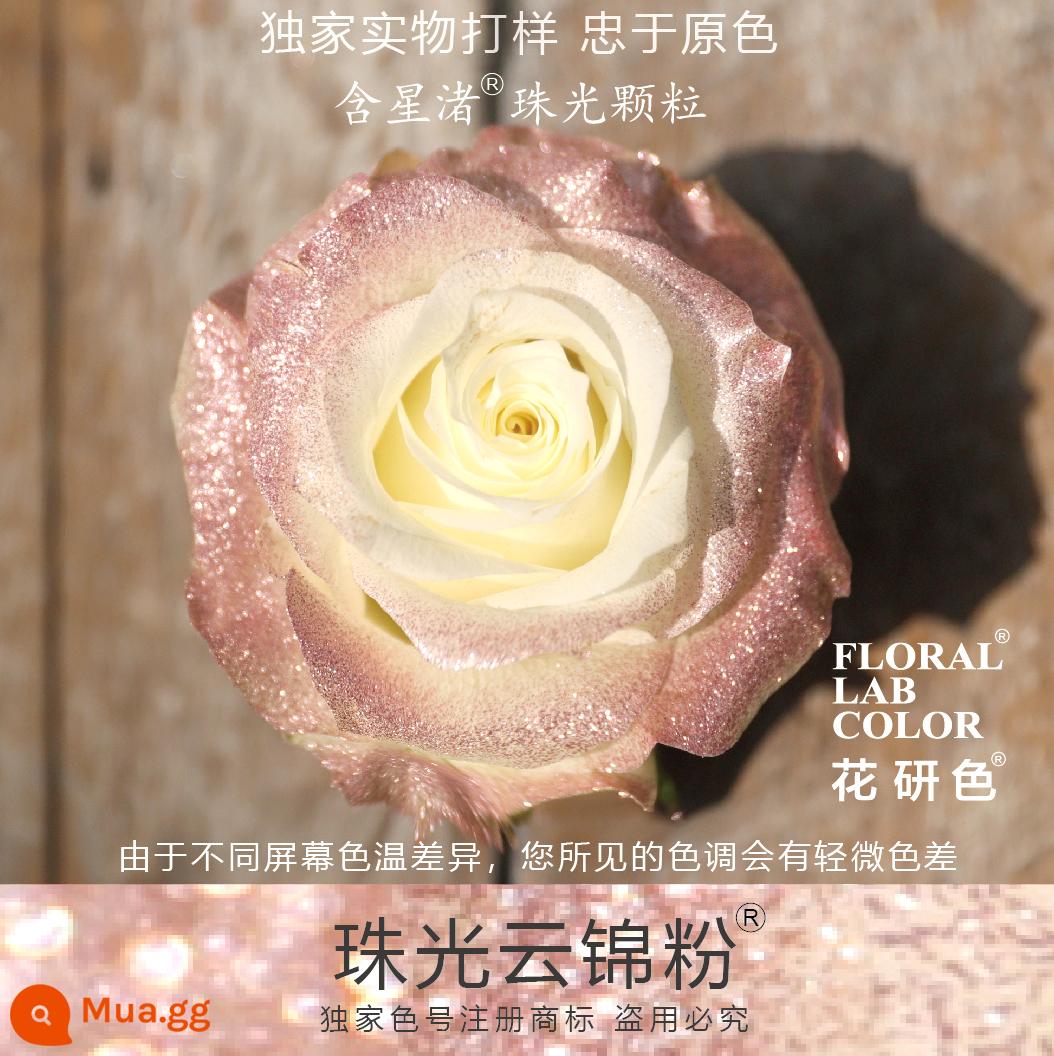 Flower Research color phun sơn phun màu đại lý thuốc nhuộm tóc chính hãng Michigan crush ice blue cao cấp màu Morandi - Bột ngọc trai Yunjin® 69# Hạt ngọc trai Xingzhu