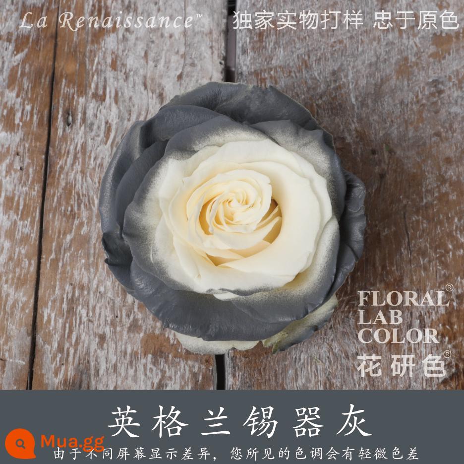 Flower Research color phun sơn phun màu đại lý thuốc nhuộm tóc chính hãng Michigan crush ice blue cao cấp màu Morandi - Xám đậm 17# xám thiếc của Anh