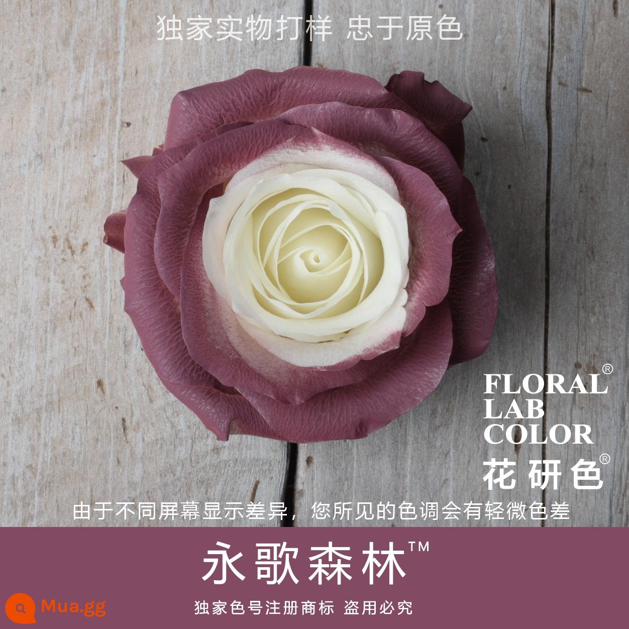 Flower Research color phun sơn phun màu đại lý thuốc nhuộm tóc chính hãng Michigan crush ice blue cao cấp màu Morandi - Rừng Yongge 72#