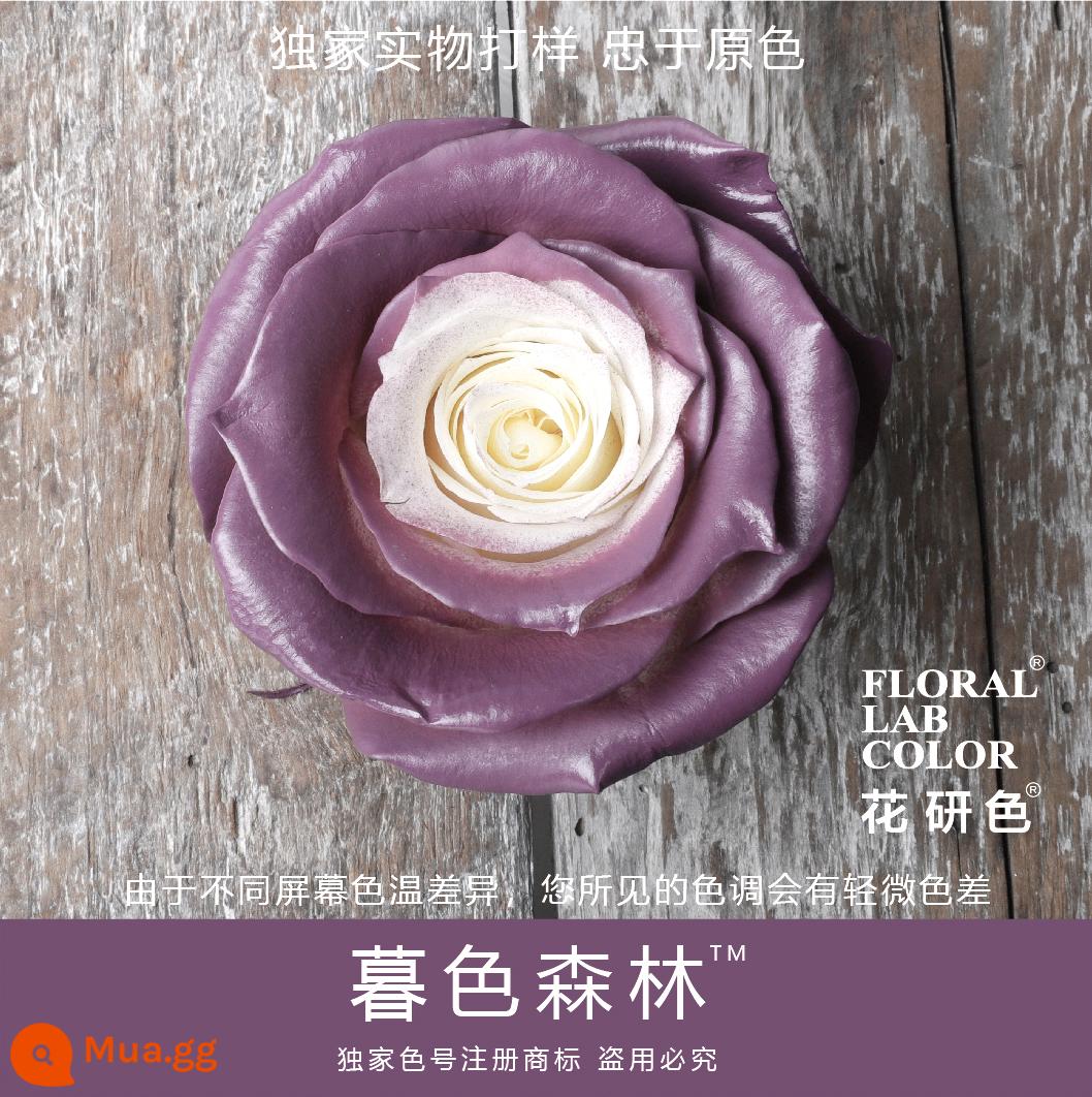 Flower Research color phun sơn phun màu đại lý thuốc nhuộm tóc chính hãng Michigan crush ice blue cao cấp màu Morandi - Rừng Chạng Vạng® 63#