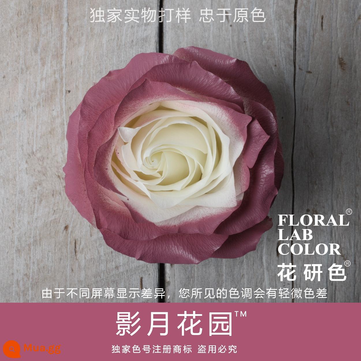 Flower Research color phun sơn phun màu đại lý thuốc nhuộm tóc chính hãng Michigan crush ice blue cao cấp màu Morandi - Vườn Trăng Bóng 73#