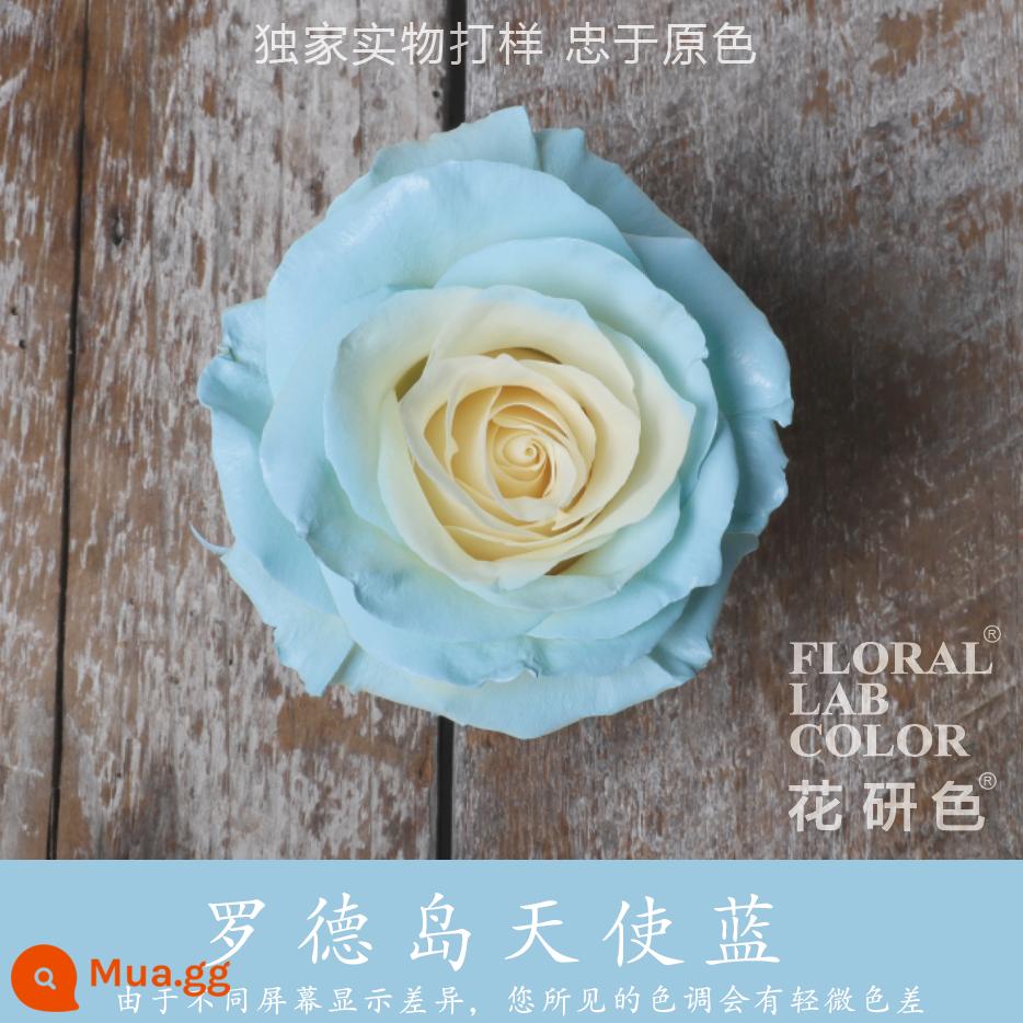 Flower Research color phun sơn phun màu đại lý thuốc nhuộm tóc chính hãng Michigan crush ice blue cao cấp màu Morandi - Rhode Island Angel Blue® 09#