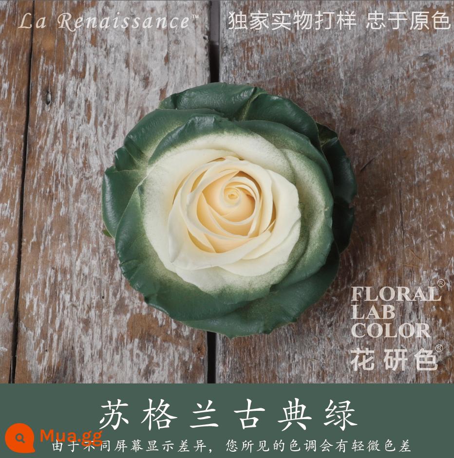 Flower Research color phun sơn phun màu đại lý thuốc nhuộm tóc chính hãng Michigan crush ice blue cao cấp màu Morandi - Màu xanh cổ điển Scotland 01#