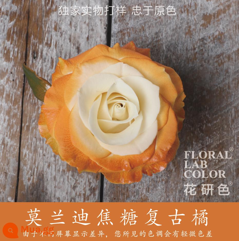 Flower Research color phun sơn phun màu đại lý thuốc nhuộm tóc chính hãng Michigan crush ice blue cao cấp màu Morandi - Morandi cam caramel retro 36#