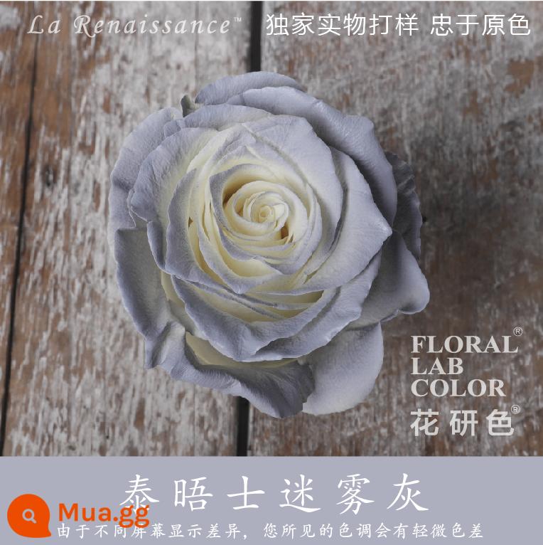 Flower Research color phun sơn phun màu đại lý thuốc nhuộm tóc chính hãng Michigan crush ice blue cao cấp màu Morandi - Thames Mist Grey® R001#