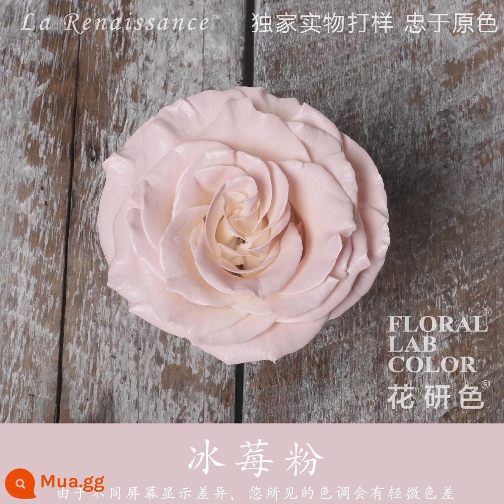 Flower Research color phun sơn phun màu đại lý thuốc nhuộm tóc chính hãng Michigan crush ice blue cao cấp màu Morandi - Bột dâu (tông hồng xám) R004#