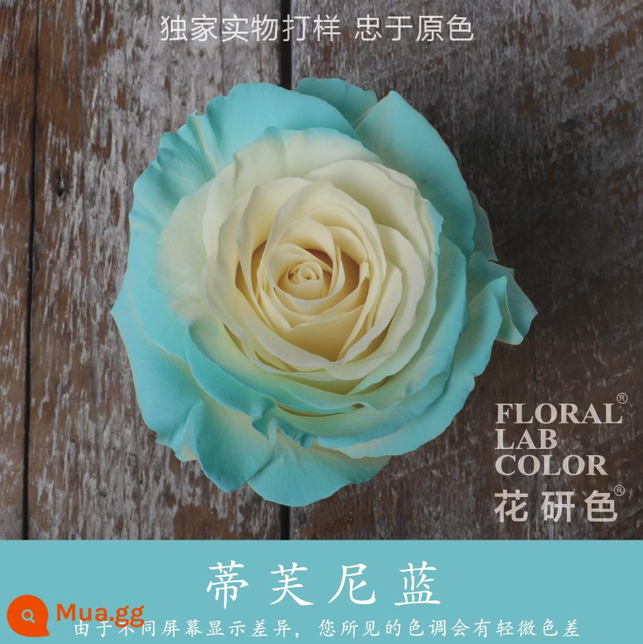 Flower Research color phun sơn phun màu đại lý thuốc nhuộm tóc chính hãng Michigan crush ice blue cao cấp màu Morandi - Màu xanh tiffany 10#