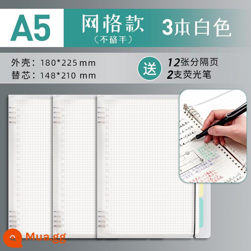 Văn phòng phẩm Chenguang B5 sổ rời không cầm tay lưới đường kẻ ngang đa quy cách A4 có thể tháo rời lõi dày sổ ghi chép kiểm tra đầu vào của học sinh cuốn sách câu hỏi sai cuộn - Trắng/Lưới A5 3 cuốn/không gây khó chịu