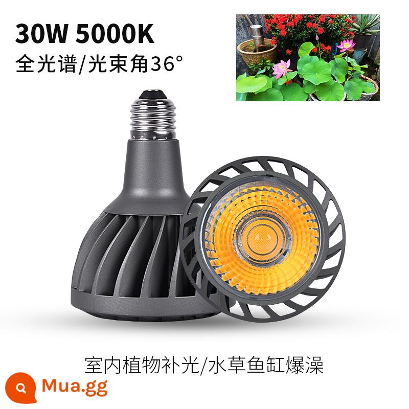 Guanglian Tianxia 30W kỹ thuật mô hình đèn led trợ sáng toàn phổ vật có lấp bóng đèn gốc mọng nước bể cá nổ tảo - Model kỹ thuật 30W [toàn quang phổ 5000K] Ánh sáng lấp đầy nhà máy 36°