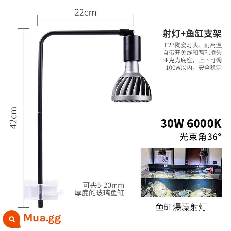 Guanglian Tianxia 30W kỹ thuật mô hình đèn led trợ sáng toàn phổ vật có lấp bóng đèn gốc mọng nước bể cá nổ tảo - Model kỹ thuật 30W [ánh sáng trắng 6000K] 36° có giá đỡ bể cá, tảo nổ trong bể cá