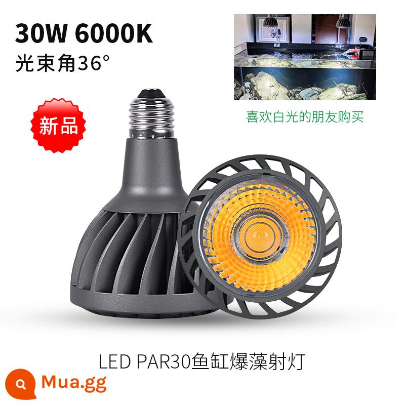 Guanglian Tianxia 30W kỹ thuật mô hình đèn led trợ sáng toàn phổ vật có lấp bóng đèn gốc mọng nước bể cá nổ tảo - Model kỹ thuật 30W [ánh sáng trắng 6000K] Vụ nổ tảo bể cá 36°