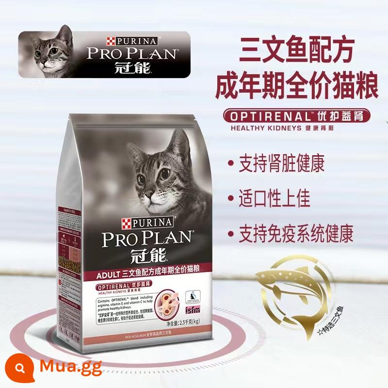 Thức ăn cho mèo Guanng 7kg vào Cat Diều Phòng Thịt Cat Salmon Anh và Mỹ ngắn Thực phẩm Staple 2,5kg chính thức - Thức ăn cho mèo trưởng thành cá hồi 2,5kg (hạn sử dụng 24 năm 4)