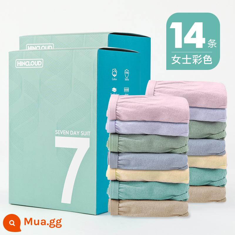 Xinyun đồ lót dùng một lần của phụ nữ cotton nguyên chất vô trùng thai sản của phụ nữ du lịch dùng một lần hàng ngày boxer nam dùng một lần nguồn cung cấp du lịch - [Nâng cấp 14 dải màu dành cho phụ nữ] Giấy lọc máu y tế đã tiệt trùng EO được đóng gói riêng