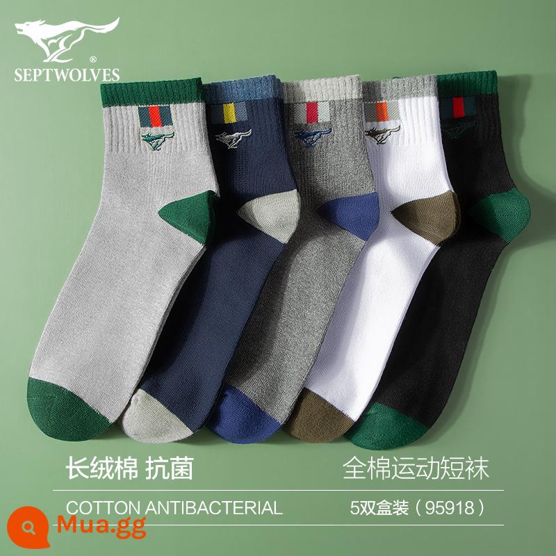 Vớ Septwolves nam cotton nguyên chất mùa đông khử mùi và thấm hút mồ hôi 100% cotton ống trung vớ nam ống ngắn thể thao - [Vớ cotton kháng khuẩn thông thường] hộp 5 đôi