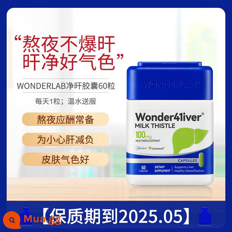 WonderLab Liver Viên nang gan Thức suốt đêm Khối Rubik nhỏ Nước ruồi Cây kế sữa Đàn ông và phụ nữ trưởng thành làm thêm giờ để bảo tồn gan về đêm - màu xanh lá