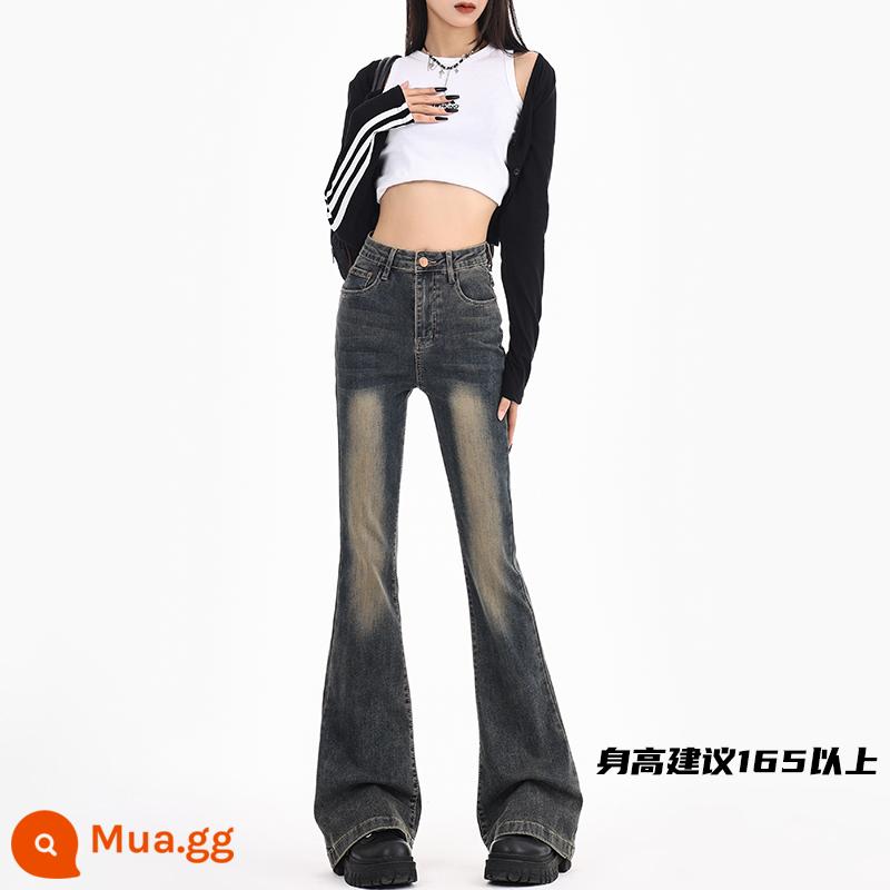 Quần jeans ống loe kiểu Mỹ cho nữ 2024 mới xuân thu dáng ôm co giãn theo phong cách cổ điển nhỏ nhắn ống loe màu sáng - Đá phiến xám [mở rộng]