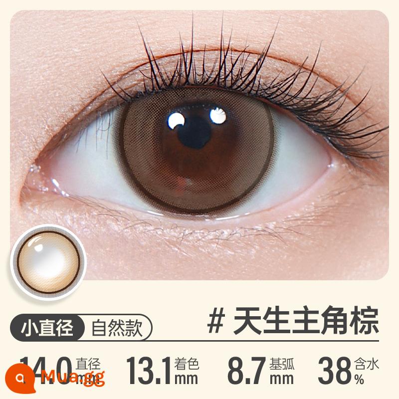 [Gói thử nghiệm] Kính áp tròng màu nhạy cảm dùng một lần Kilala Lens 2 gói Chính hãng - Bộ 2 món Natural Star Brown