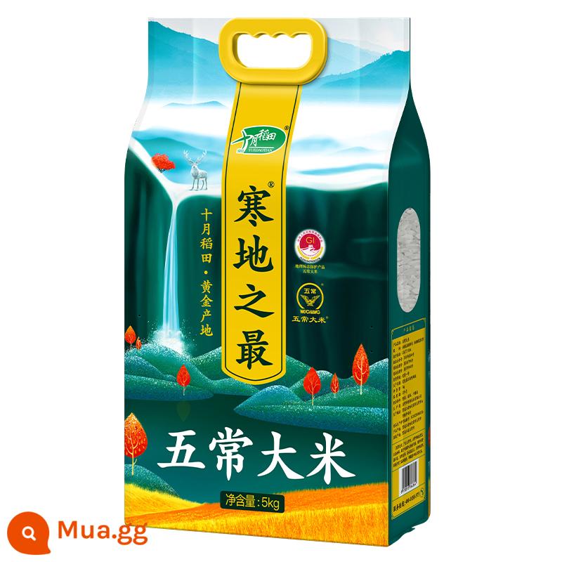 [Gạo mới năm 2023] Gạo Wuchang, ngon nhất tháng 10 ruộng lúa vùng lạnh, 5kg gạo nguyên liệu Huaxiang số 2 10kg gạo japonica - Gạo Vũ Xương 5kg