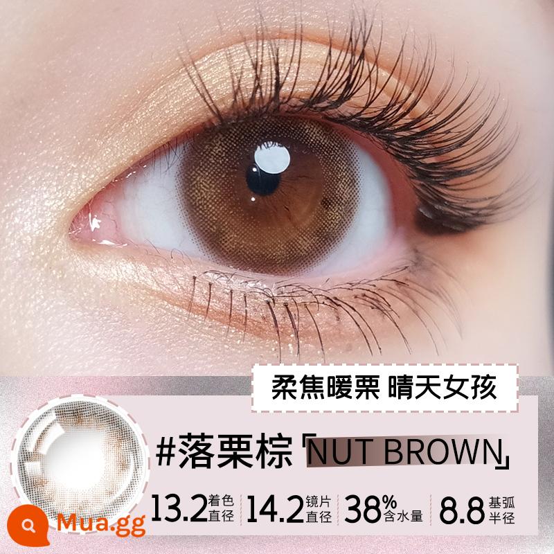 LaPeche Labai Thơ Màu Kính Áp Tròng Hanami Beauty Liên Hệ Hàng Tháng Ném 1 Miếng Hashimoto Kannai Đường Kính Sương Mù Trà Xám - #新花色# Màu nâu hạt dẻ rơi [Tập trung nhẹ nhàng Cô gái hạt dẻ ấm áp]