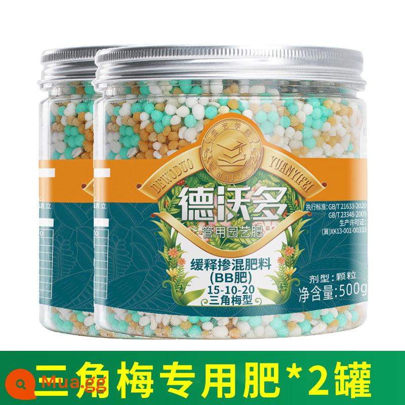 Phân bón Dewodo mận tam giác chuyên bón cây xanh hoa phân bón nhả chậm dạng hạt chung loại 500g - Phân bón tan chậm đặc biệt cho hoa giấy*2