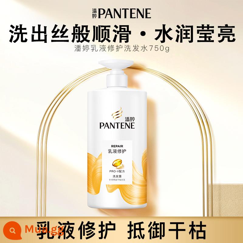 Pantene Axit Amin Trị Gàu Dầu Gội Nước Lỏng Dầu Gội Sửa Chữa Kiểm Soát Dầu Lông Tơ Dầu Tẩy Chống Ngứa 750G - ⭐[Chống khô] Dầu gội phục hồi nhũ tương 750g Dung tích lớn