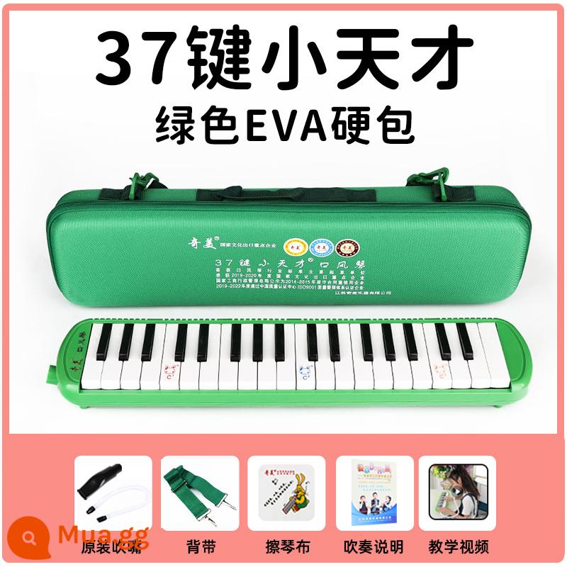 Chimei thương hiệu melodica 37 phím 32 phím trẻ em học sinh tiểu học với lớp học mới bắt đầu giảng dạy nhạc cụ hơi chuyên nghiệp - Hộp cứng EVA thiên tài nhỏ màu xanh lá cây 37 phím [tài liệu giảng dạy miễn phí - giao hàng nhanh vào ngày hôm sau]