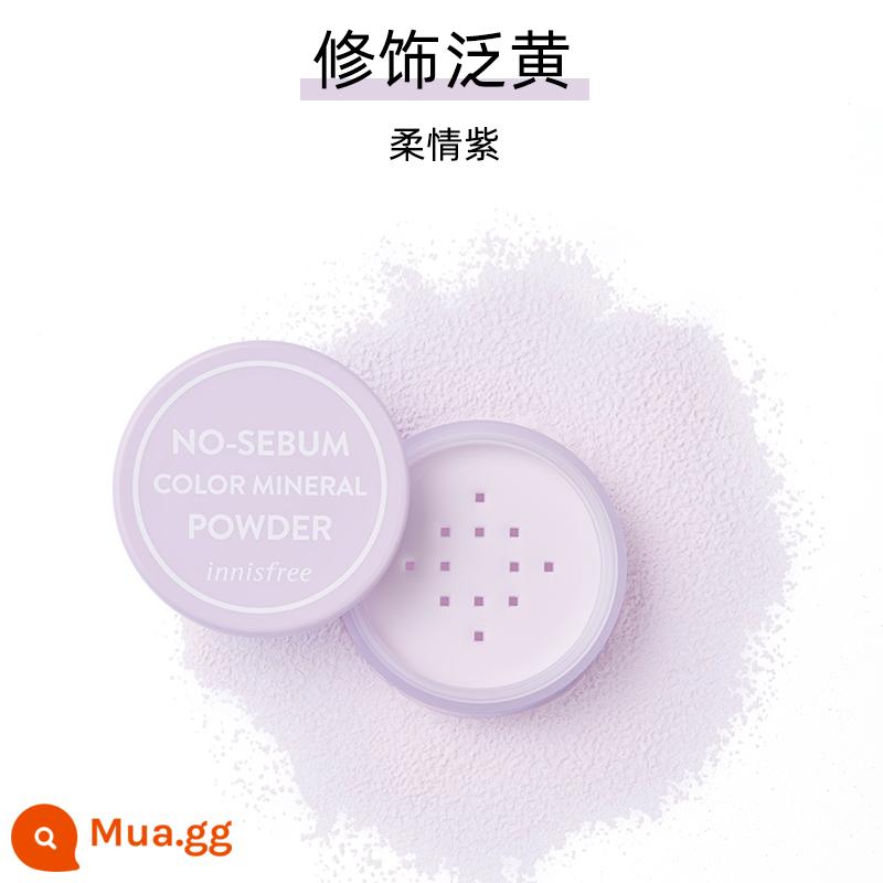 Miễn phí vận chuyển Phấn phủ bột mật ong Innisfree bột trang điểm dạng bánh 5g kiểm soát dầu lâu trôi kem che khuyết điểm chống thấm nước chống mồ hôi cho da dầu không tẩy trang được - Màu tím dịu dàng mới