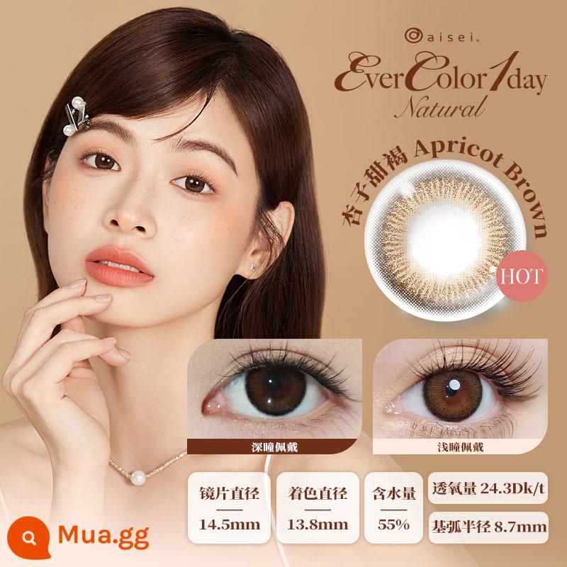 aisei Love Xie EverColor ngọc trai màu be kính áp tròng hàng ngày ném 10 cái tự nhiên đường kính lớn tự nhiên vô hình - Mai Nâu Ngọt - "Mắt Chó Thông Minh"