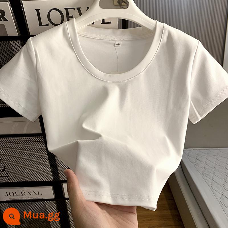 Áo thun cotton vai phải dài tay/ngắn tay cơ bản dành cho nữ trong mùa hè, giảm béo, áo đáy bó sát, áo khí chất, mùa thu - 8828 trắng