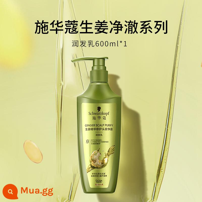 Bộ dầu gội Schwarzkopf kiểm soát dầu mềm mượt trị gàu hương thơm lâu dài bộ dầu gội dầu gội axit amin - [Ginger Jingche] Kem dưỡng tóc gừng 600ml