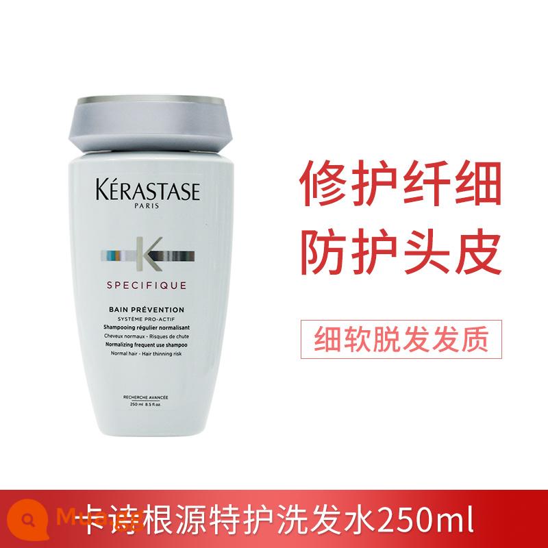 Dầu gội Kérastase Paris 250ml Black Diamond Caviar Chức năng kép Root Chăm sóc đặc biệt Kiểm soát dầu Trị gàu Vitality Ginger Chống rụng - Dầu gội chăm sóc đặc biệt Root (giới hạn 20 chai)