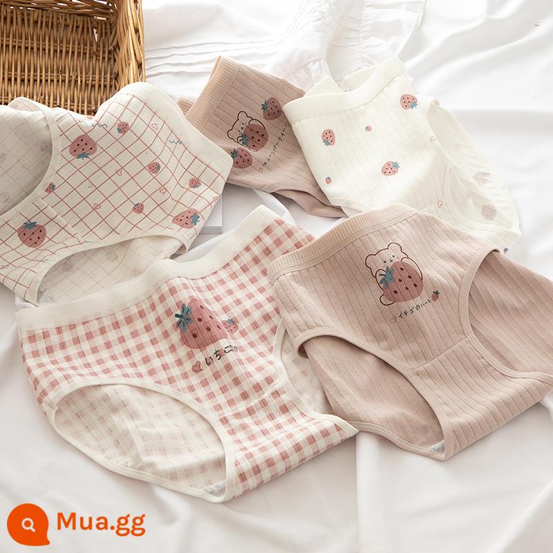 Quần lót cotton nguyên chất bé gái, tam giác trẻ em lớn, trẻ em học sinh, quần short cotton 100% không véo mông cho bé gái - Bột củ sen gấu [5 gói thân thiện với da]