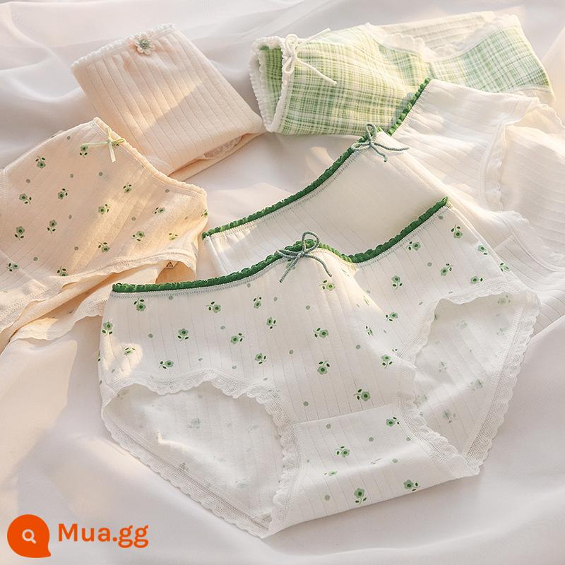 Quần lót cotton nguyên chất bé gái, tam giác trẻ em lớn, trẻ em học sinh, quần short cotton 100% không véo mông cho bé gái - Dòng Da Xanh [5 Gói Thân Thiện Với Da]