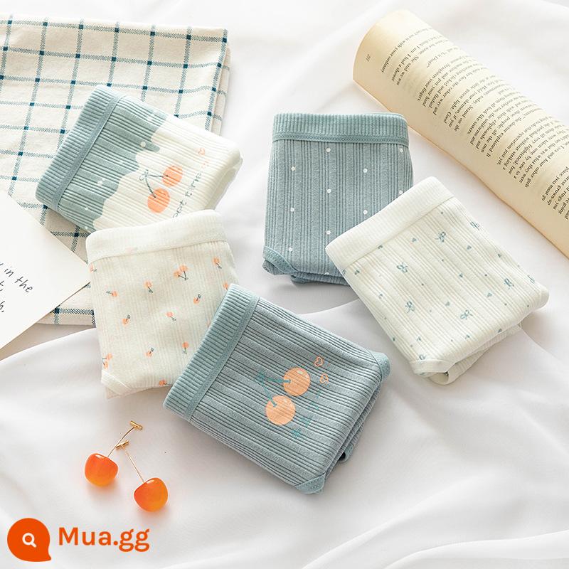 Đồ lót cotton nguyên chất cho bé gái, bé trai lớn, học sinh, quần đùi boxer tam giác trẻ em, bé gái 100% cotton không PP - Anh đào Thanh Thanh (5 hình tam giác)