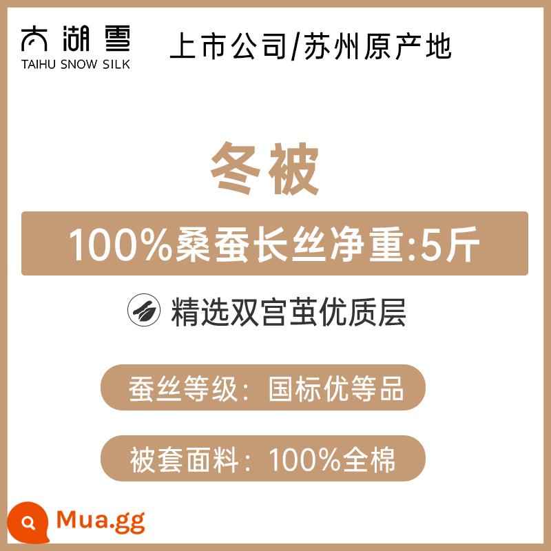 Taihu Chăn bông lụa tuyết Lõi chăn mùa thu đông 100% sợi tơ tằm Chăn bốn mùa Chăn mẹ hai trong một Qinrou chính hãng - [Chăn mùa đông] 100% sợi tằm trọng lượng tịnh 5 pound