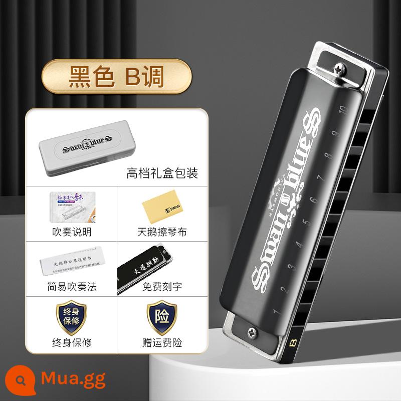 Swan blues harmonica 10 lỗ giai điệu C dành cho trẻ em mới bắt đầu trình độ nhập môn blues mười lỗ chuyên nghiệp điều chỉnh lúa đích thực - Tông màu đen B