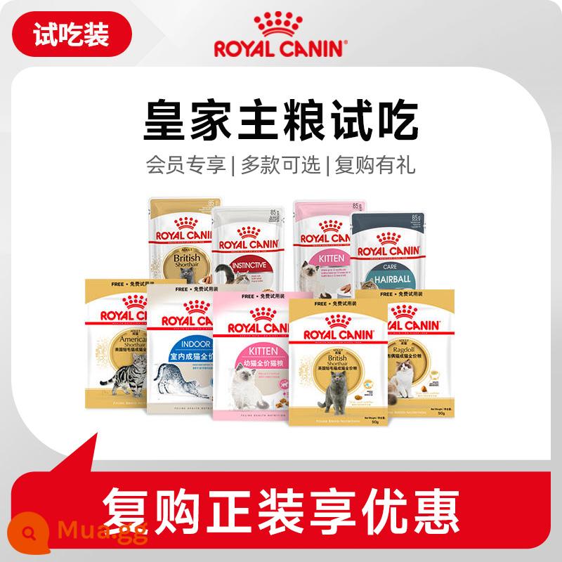 Royal Cat Food i27 Phòng mèo dành - Các thành viên có thể thưởng thức 1,1 lần nếm thử các món ăn chủ yếu của hoàng gia