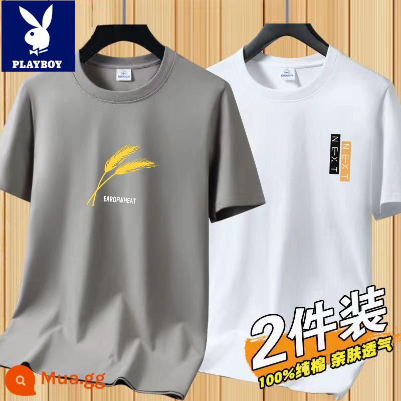 Áo thun tay ngắn Playboy nam mùa hè mới Áo thun cotton trắng nam cổ tròn top đáy áo sơ mi xu hướng - [2 chiếc 832 Khaki + 831 Trắng]