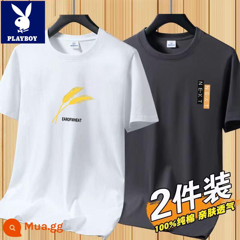 Áo thun tay ngắn Playboy nam mùa hè mới Áo thun cotton trắng nam cổ tròn top đáy áo sơ mi xu hướng - [2 chiếc 832 trắng + 831 xám đậm]