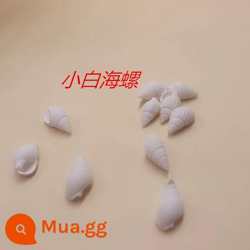 miễn phí vận chuyển sáng tạo diy đại dương chai nút chai trong suốt chai thủy tinh trôi chai cầu vồng chai wish chai star chai chất liệu - Ốc trắng nhỏ màu xanh da trời 10 con